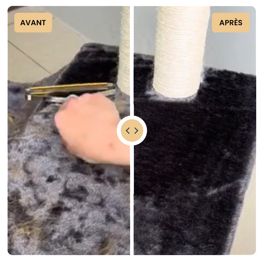 Comment enlever les poils de chien sur un canapé en tissu