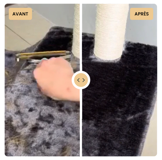 Comment enlever les poils de chien sur un canapé en tissu