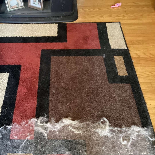 “Comment éliminer efficacement les poils de chien et de chat dans la maison ?”